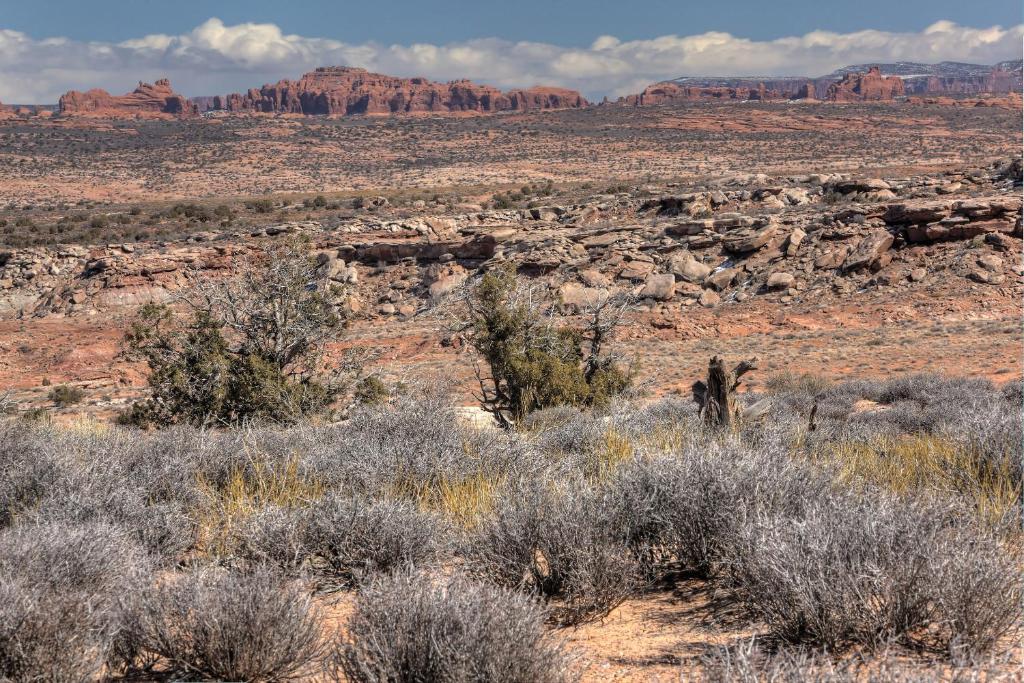 Under Canvas Moab Bagian luar foto